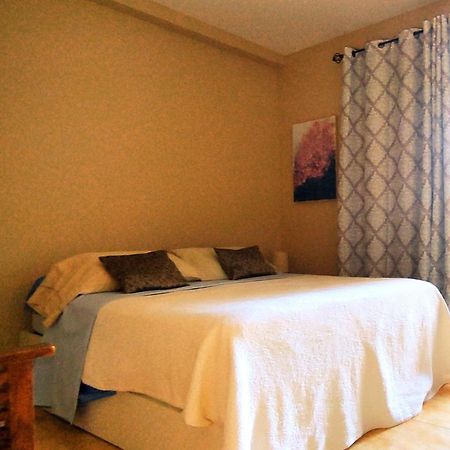 San Sebastián de la GomeraEl Balcon De Colonアパートメント エクステリア 写真