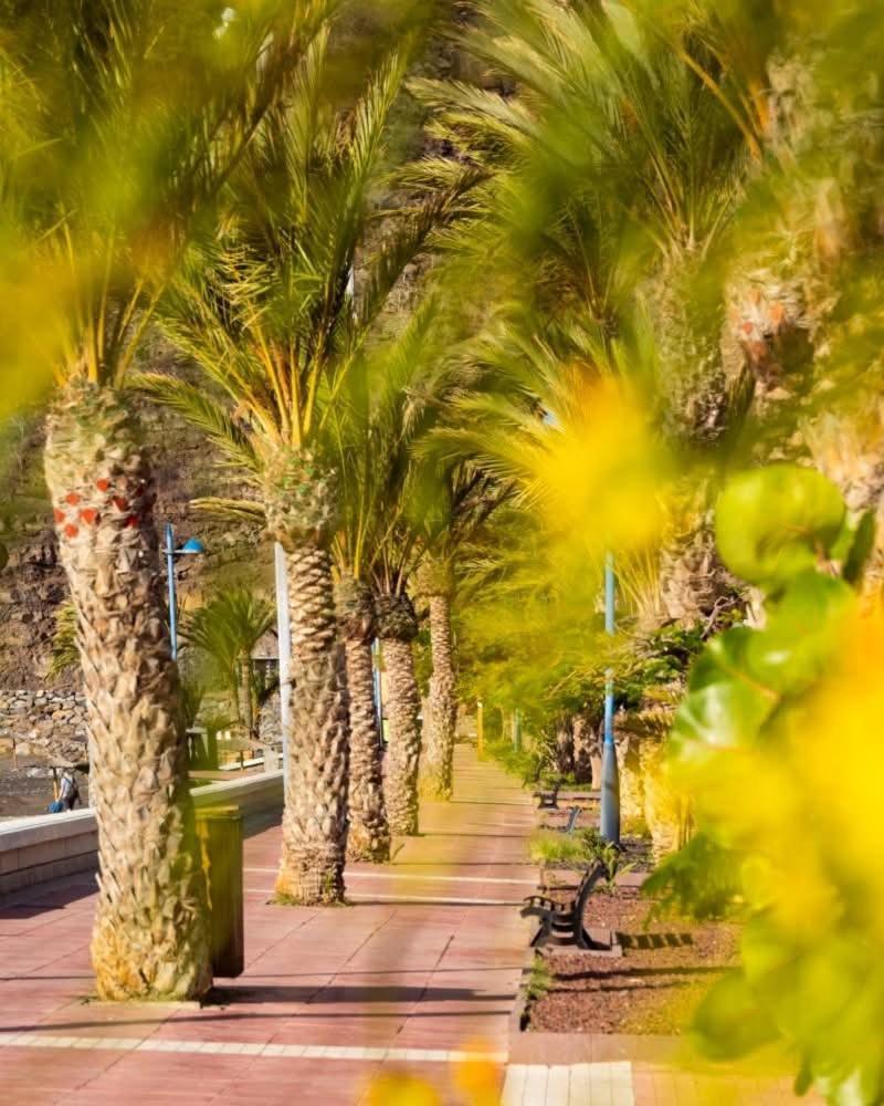 San Sebastián de la GomeraEl Balcon De Colonアパートメント エクステリア 写真